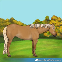 Horse Color:Gray Palomino Dun