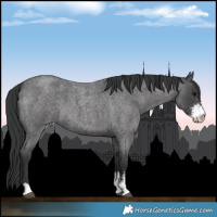 Horse Color:Blue Roan Sabino 