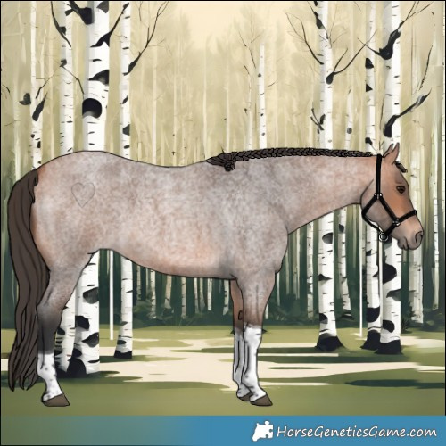 Horse Color:Bay Roan Tobiano 