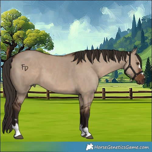 Horse Color:Liver Red Dun