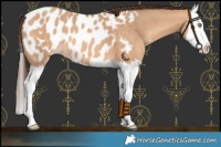 Horse Color:Amber Champagne Splash Near Leopard 