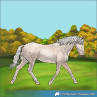 Horse Color:Gold Cream Champagne Pearl