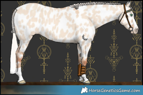 Horse Color:Silver Classic Champagne Dun Splash Near Leopard 