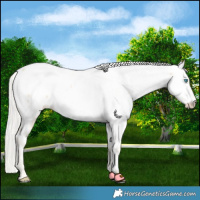 Horse Color:Cremello Near Fewspot 
