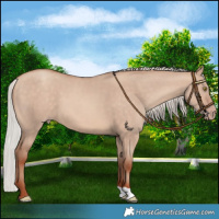 Horse Color:Silver Sable Champagne Dun