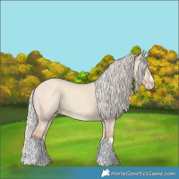 Horse Color:Silver Classic Champagne Dun Splash Frame 