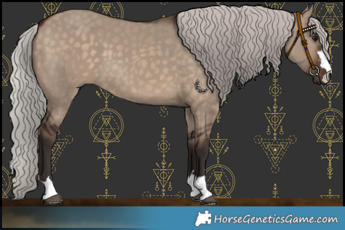 Horse Color:Silver Brown Dun 