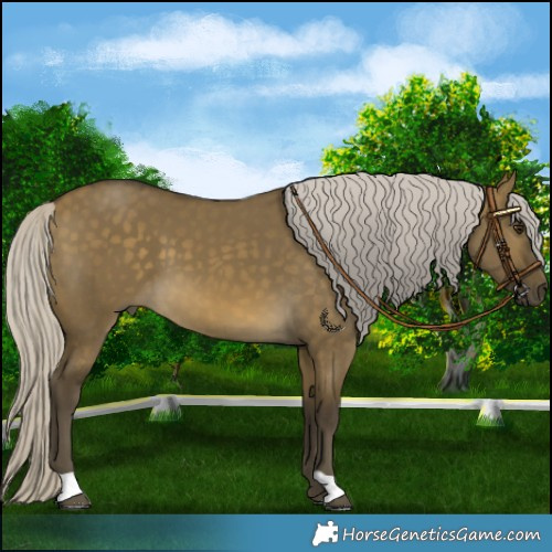 Horse Color:Silver Buckskin Dun