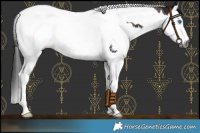 Horse Color:Gray Brown Splash Tobiano