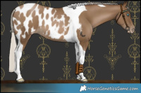 Horse Color:Gray Silver Smoky Black Pearl Tobiano Blanket