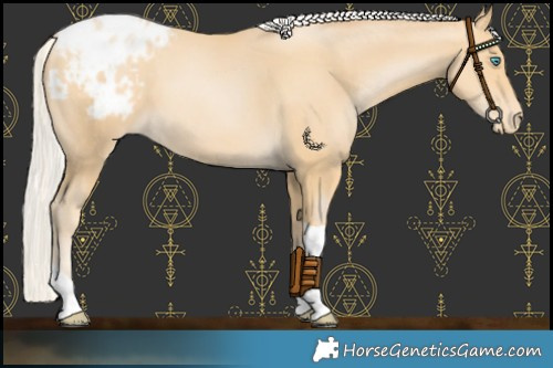 Horse Color:Silver Smoky Black Pearl Tobiano Blanket 