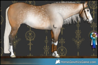 Horse Color:Gray Silver Buckskin Rabicano 