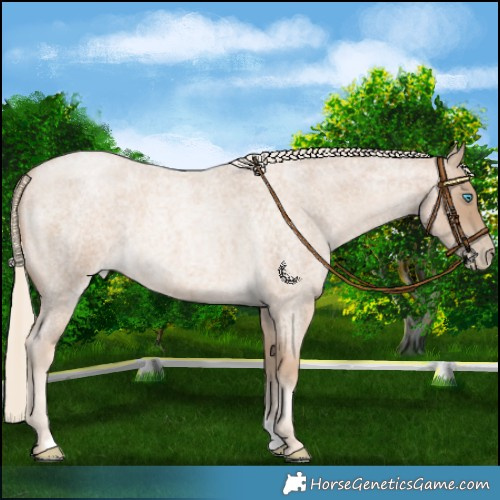 Horse Color:Chocolate Palomino Roan Pearl 