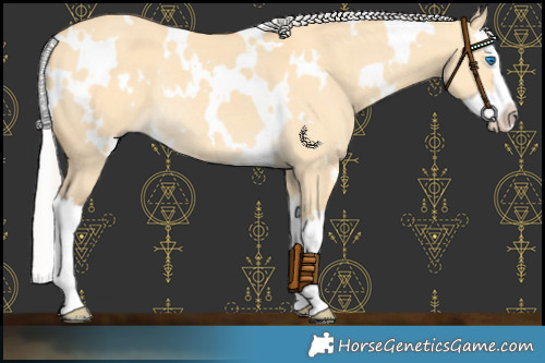 Horse Color:White Spotted Silver Buckskin Dun Splash Rabicano 