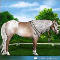 Horse Color:Gray Silver Sable Champagne Blanket 