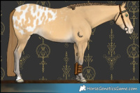 Horse Color:Amber Cream Champagne Blanket 