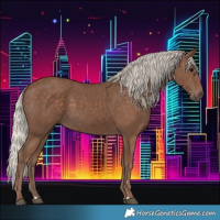 Horse Color:Silver Black