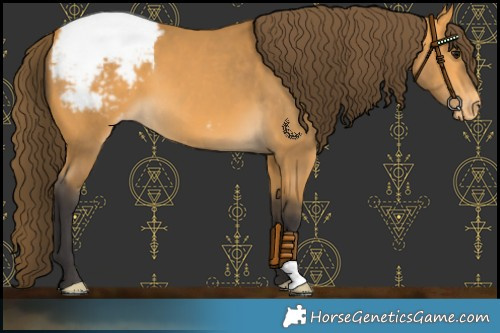 Horse Color:Buckskin Snowcap 