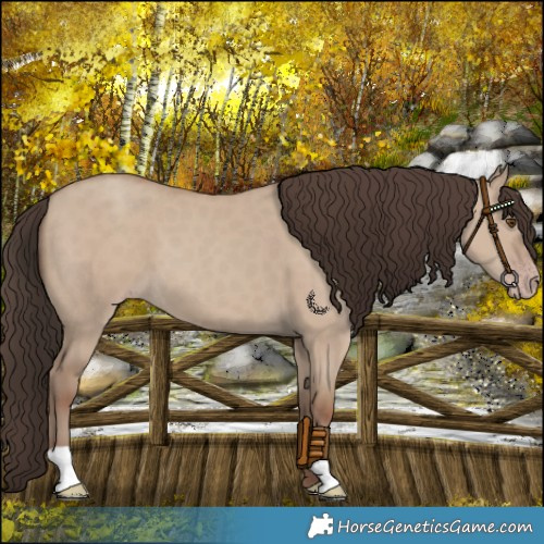 Horse Color:Classic Champagne Dun 