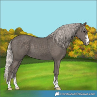 Horse Color:Silver Black 