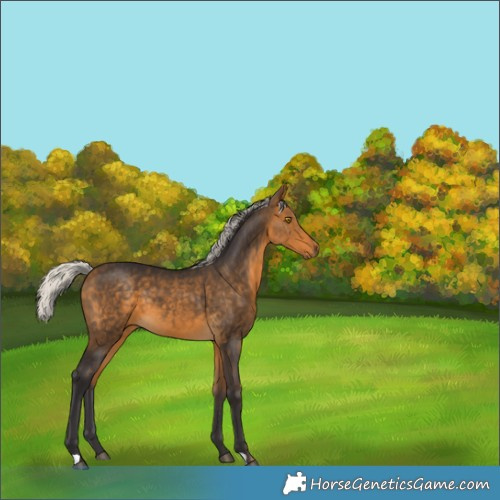 Horse Color:Silver Buckskin 