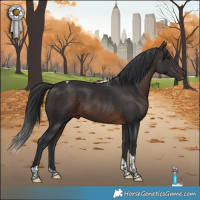 Horse Color:Brown Tobiano 