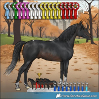 Horse Color:Brown Tobiano 