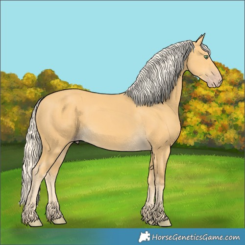 Horse Color:Gold Cream Champagne
