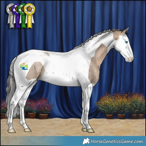Horse Color:Bay Dun Splash Tobiano Rabicano 