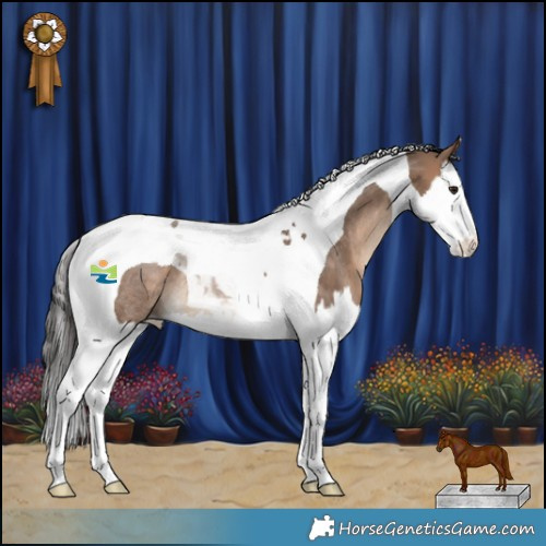 Horse Color:Bay Dun Splash Tobiano Rabicano 
