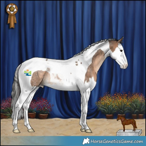 Horse Color:Bay Dun Splash Tobiano Rabicano
