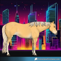 Horse Color:Palomino 