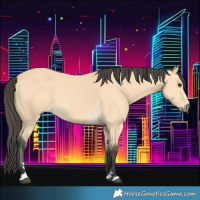 Horse Color:Buckskin 