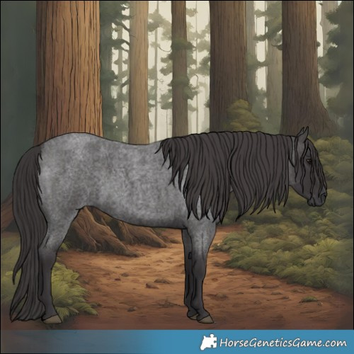 Horse Color:Smoky Blue Roan