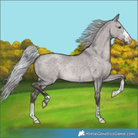 Horse Color:Platinum Silver Brown Dun 