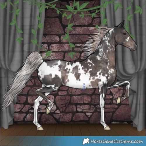 Horse Color:Platinum White Spotted Liver Chestnut 