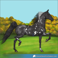 Horse Color:Platinum White Spotted Smoky Black