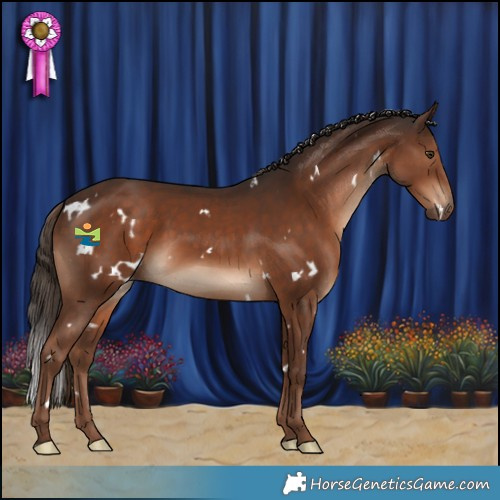 Horse Color:White Spotted Liver Chestnut Rabicano 