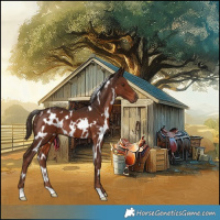 Horse Color:White Spotted Liver Chestnut Rabicano