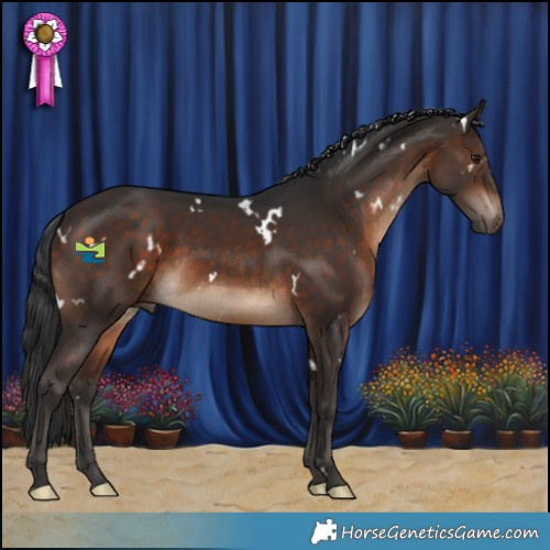 Horse Color:White Spotted Brown Rabicano 