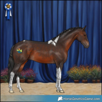 Horse Color:Brown Tobiano 