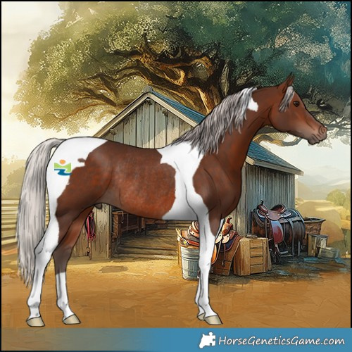 Horse Color:Silver Brown Tobiano Rabicano 
