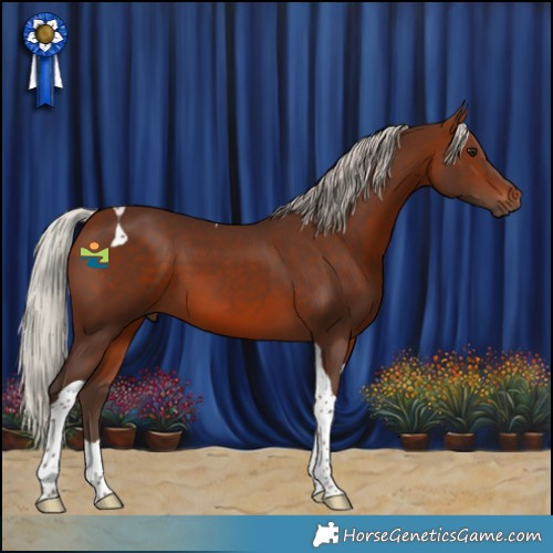 Horse Color:Silver Brown Tobiano 
