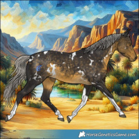 Horse Color:White Spotted Silver Buckskin Tobiano 