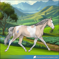 Horse Color:Silver Perlino Splash Tobiano 