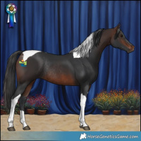 Horse Color:Brown Tobiano Rabicano