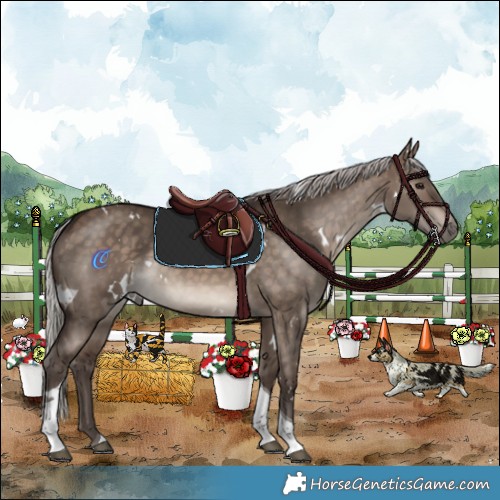 Horse Color:White Spotted Silver Brown Dun Tobiano Rabicano 