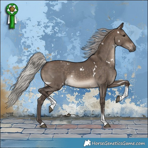 Horse Color:White Spotted Silver Brown Dun Tobiano Rabicano