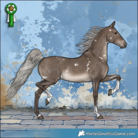Horse Color:White Spotted Silver Brown Dun Tobiano Rabicano 