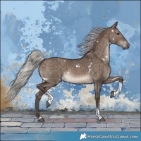 Horse Color:White Spotted Silver Brown Dun Tobiano Rabicano 